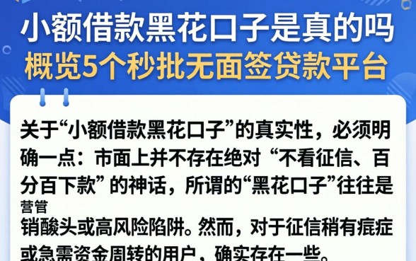 小额借款黑花口子是真的吗，概览5个秒批无面签贷款平台