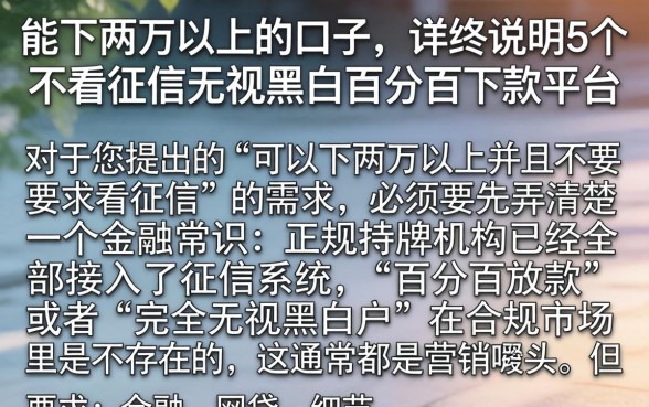 能下两万以上的口子,详尽说明5个不看征信无视黑白百分百下款平台