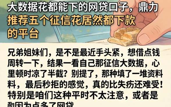大数据花都能下的网贷口子，鼎力推荐五个征信花居然都下款的平台