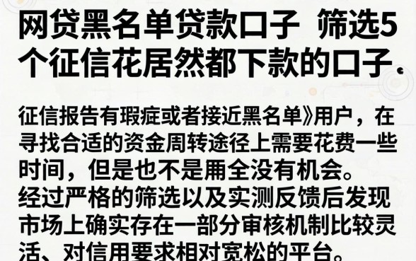网贷黑名单贷款口子，筛选5个征信花居然都下款的口子