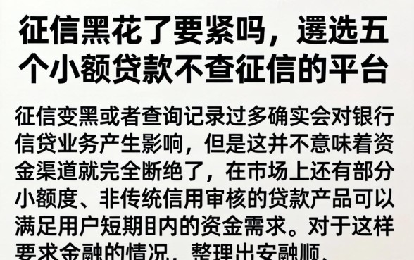征信黑花了要紧吗，遴选五个小额贷款不查征信的平台