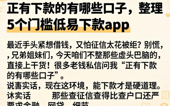 正有下款的有哪些口子，整理5个门槛低易下款app