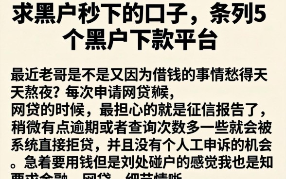 求黑户秒下的口子，条列5个黑户下款平台