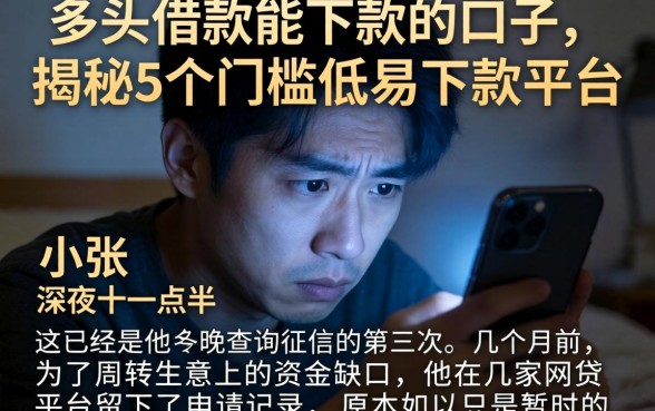 多头借款能下款的口子，揭秘5个门槛低易下款平台