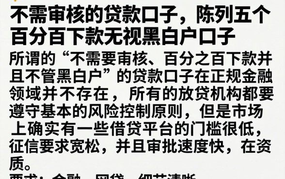 不需审核的贷款口子，陈列五个百分百下款无视黑白户口子