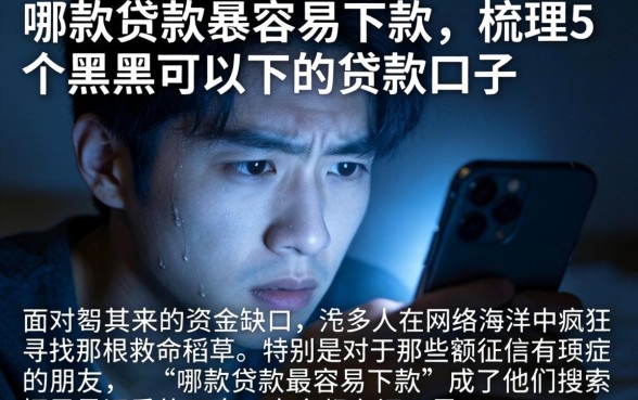 哪款贷款最容易下款，梳理5个黑户可以下的贷款口子
