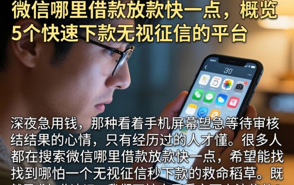 微信哪里借款放款快一点，概览5个快速下款无视征信的平台