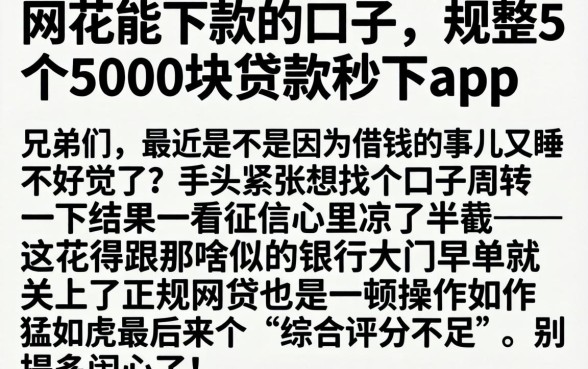 网花能下款的口子，规整5个5000块贷款秒下app