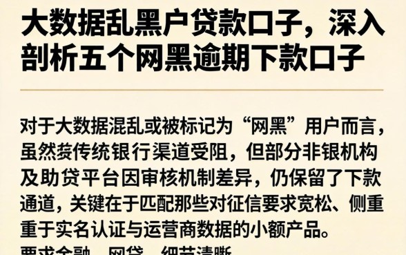 大数据乱黑户贷款口子，深入剖析五个网黑逾期下款口子
