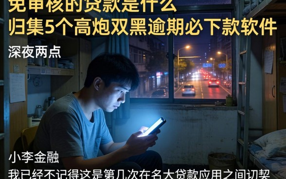 免审核的贷款是什么，归集5个高炮双黑逾期必下款软件