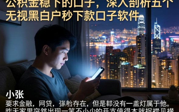 公积金稳下的口子,深入剖析五个无视黑白户秒下款口子软件