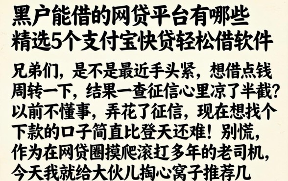 黑户能借的网贷平台有哪些，精选5个支付宝快贷轻松借软件