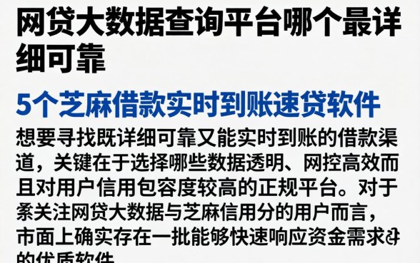 网贷大数据查询平台哪个最详细可靠，详尽说明5个芝麻借款实时到账速借软件