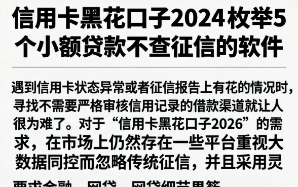 信用卡黑花口子2026，枚举5个小额贷款不查征信的软件