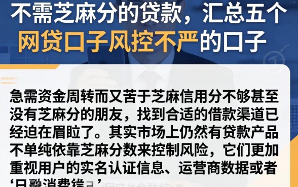 不需芝麻分的贷款，汇总五个网贷口子风控不严的口子