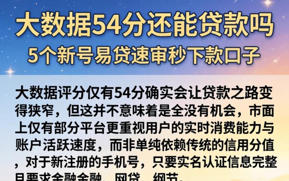 大数据54分还能贷款吗，概括5个新号易贷速审秒下款口子
