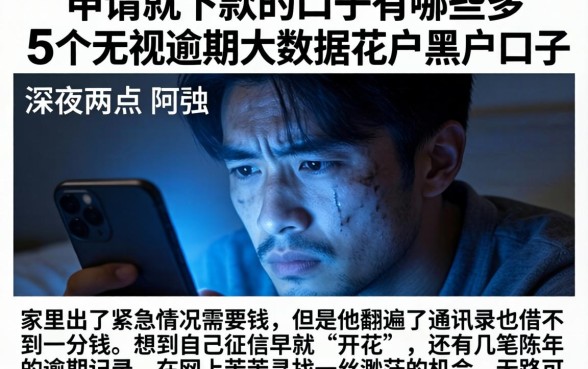 申请就下款的口子有哪些，条列5个无视逾期大数据花户黑户口子