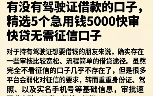有没有驾驶证借款的口子，精选5个急用钱5000快审快贷无需征信口子
