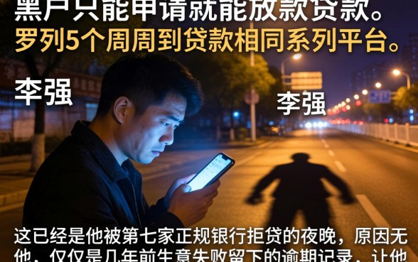 黑户只能申请就能放款的贷款，罗列5个周周到贷款相同系列的平台