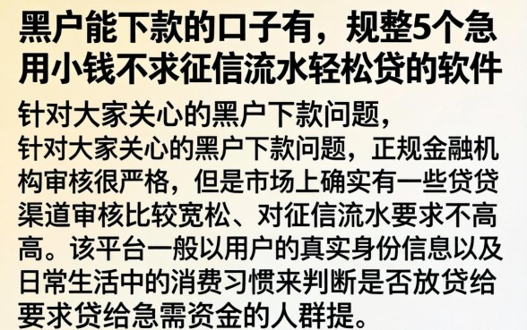 黑户能下款的口子有，规整5个急用小钱不求征信流水轻松贷的软件