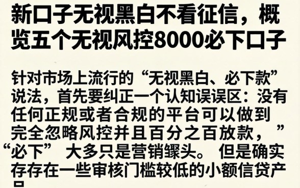 新口子无视黑白不看征信，概览五个无视风控8000必下口子