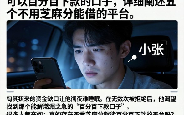 可以百分百下款的口子，详细阐述五个不用芝麻分能借的平台
