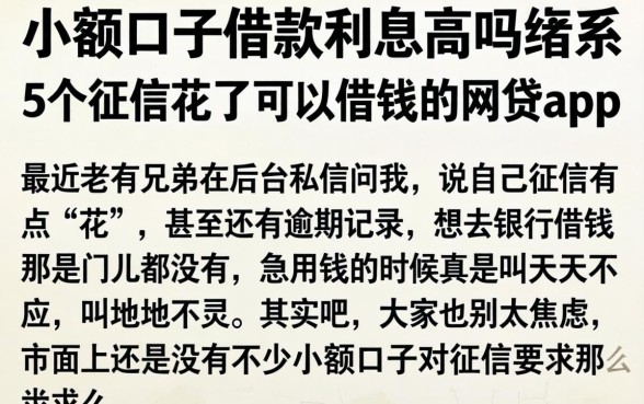 小额口子借款利息高吗，细致阐述5个征信花了可以借钱的网贷app