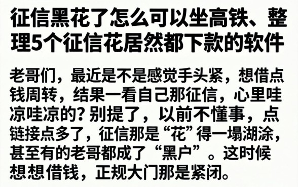 征信黑花了怎么可以坐高铁，整理5个征信花居然都下款的软件