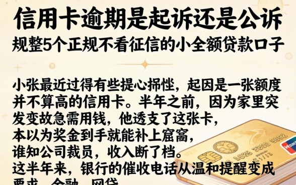 信用卡逾期是起诉还是公诉，规整5个正规不看征信的小额贷款口子