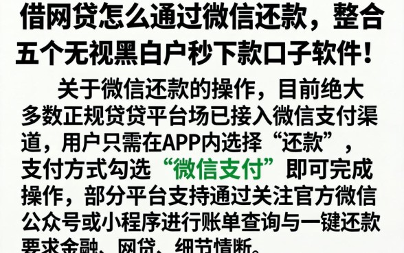 借网贷怎么通过微信还款，整合五个无视黑白户秒下款口子软件