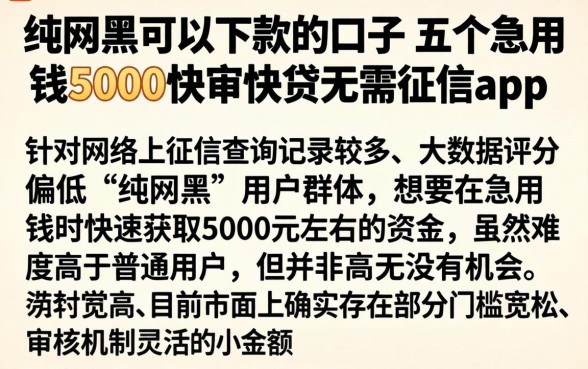 纯网黑可以下款的口子，详细阐述五个急用钱5000快审快贷无需征信app