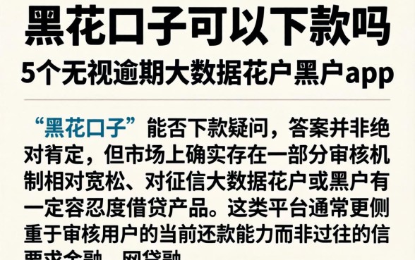 黑花口子可以下款吗，概括5个无视逾期大数据花户黑户app