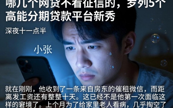 哪几个网贷不看征信的，罗列5个高能分期贷款平台新秀
