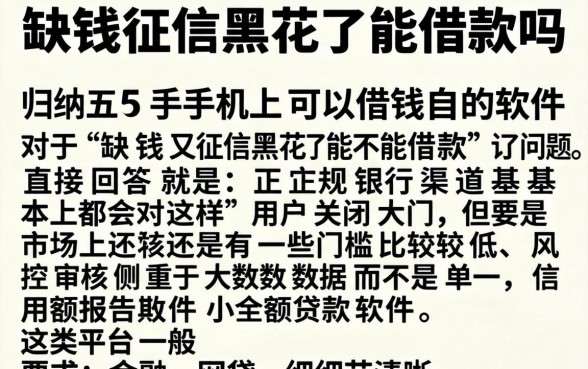 缺钱征信黑花了能借款吗，归纳五个手机上可以借钱的软件