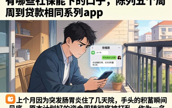 有哪些社保能下的口子，陈列五个周周到贷款相同系列的app