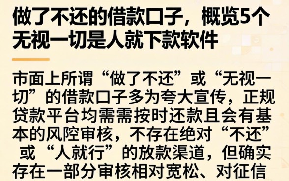 做了不还的借款口子，概览5个无视一切是人就下款软件