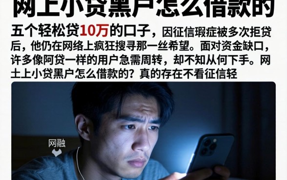 网上小贷黑户怎么借款的，详细阐述五个轻松贷10万的口子