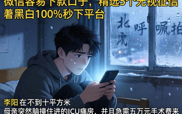 微信容易下款的口子，精选5个无视征信黑白100%秒下平台