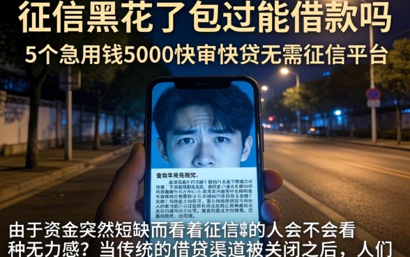 征信黑花了包过能借款吗，胪列5个急用钱5000快审快贷无需征信平台