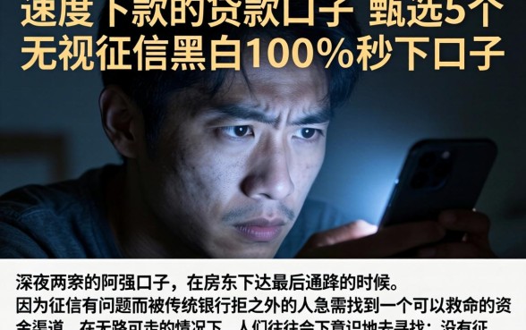 速度下款的贷款口子，甄选5个无视征信黑白100%秒下口子