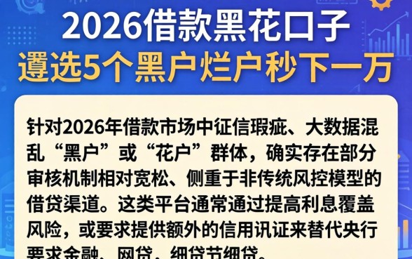 2026借款黑花口子，遴选5个黑户烂户秒下一万