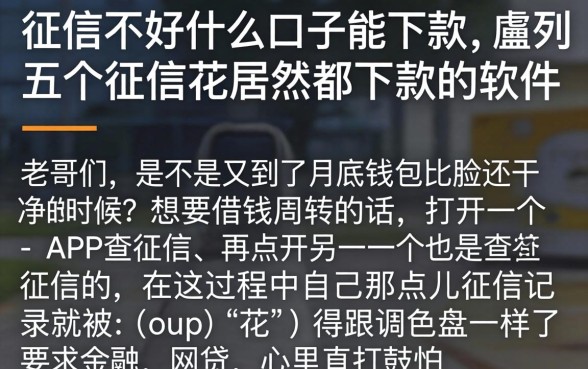 征信不好什么口子能下款，胪列五个征信花居然都下款的软件