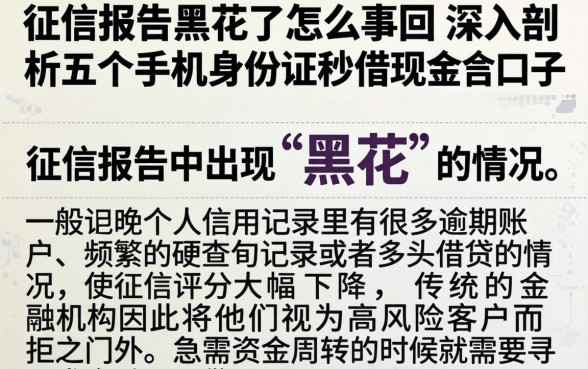 征信报告黑花了怎么回事，深入剖析五个手机身份证秒借现金的口子