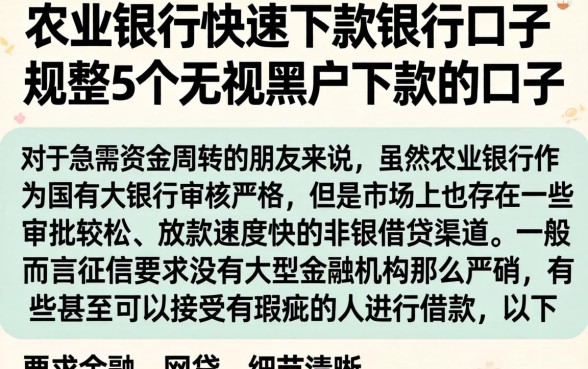 农业银行快速下款的口子，规整5个无视黑户下款的口子