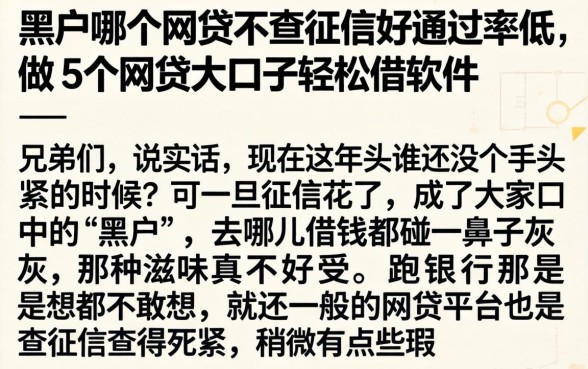 黑户哪个网贷不查征信好通过率低，细致阐述5个网贷大口子轻松借软件
