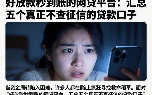 好放款秒到账的网贷平台，汇总五个真正不查征信的贷款口子