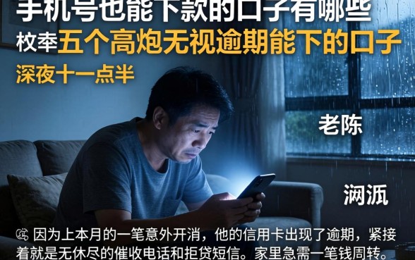 手机号也能下款的口子有哪些，枚举五个高炮无视逾期能下的口子
