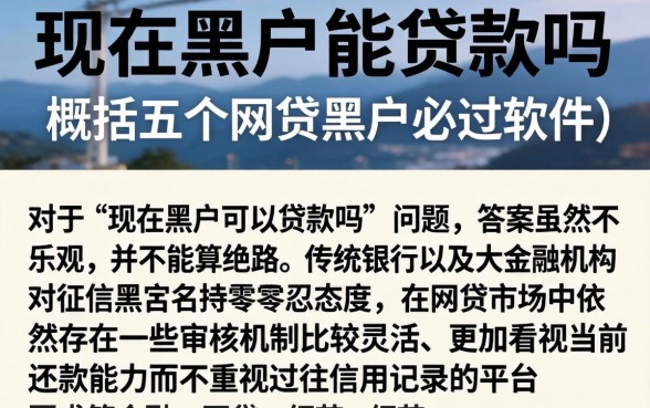 现在黑户能贷款吗，概括五个网贷黑户必过软件