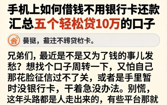 手机上如何借钱不用银行卡还款,汇总五个轻松贷10万的口子