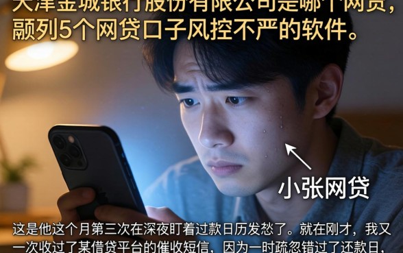 天津金城银行股份有限公司是哪个网贷，胪列5个网贷口子风控不严的软件
